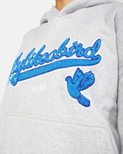 Lade das Bild in den Galerie-Viewer, COMFORT CHENILLE HOODIE